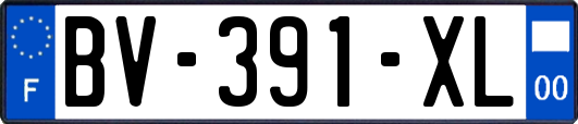 BV-391-XL