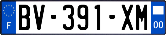 BV-391-XM