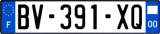 BV-391-XQ