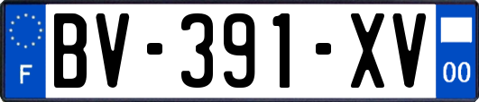BV-391-XV
