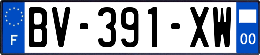 BV-391-XW