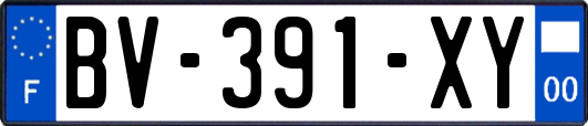 BV-391-XY