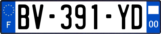 BV-391-YD