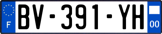 BV-391-YH