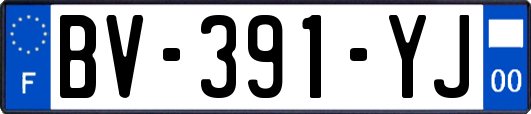 BV-391-YJ