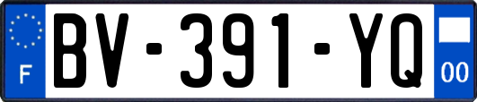 BV-391-YQ