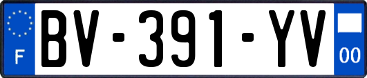 BV-391-YV