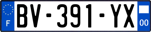 BV-391-YX