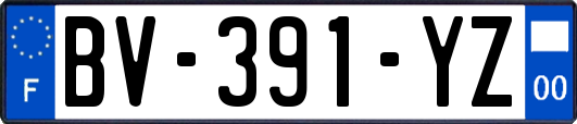 BV-391-YZ