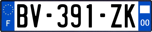 BV-391-ZK