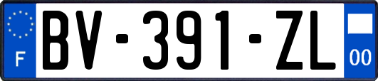 BV-391-ZL