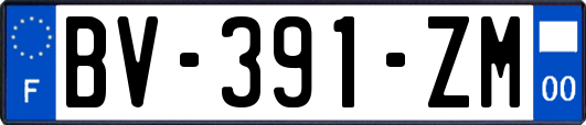 BV-391-ZM