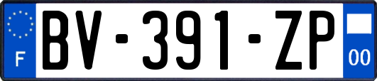 BV-391-ZP