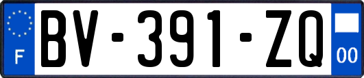 BV-391-ZQ