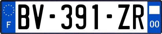 BV-391-ZR