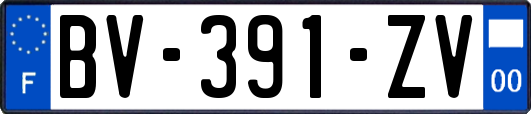 BV-391-ZV