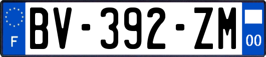 BV-392-ZM