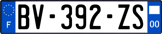 BV-392-ZS