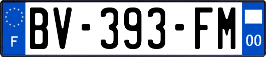 BV-393-FM