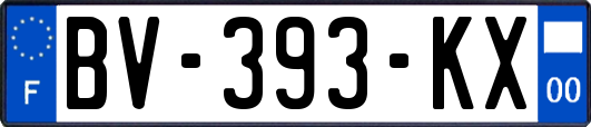 BV-393-KX