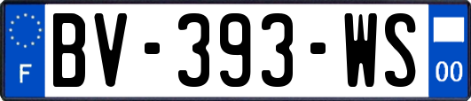 BV-393-WS