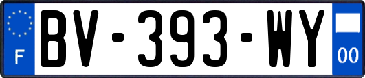 BV-393-WY