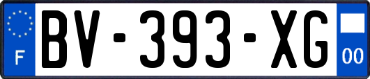 BV-393-XG