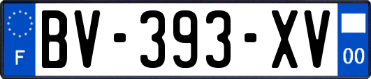 BV-393-XV