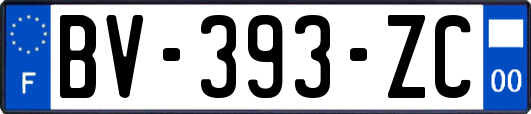 BV-393-ZC