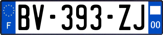 BV-393-ZJ