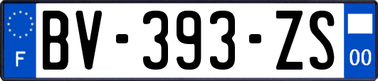 BV-393-ZS