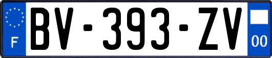 BV-393-ZV