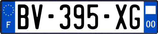 BV-395-XG