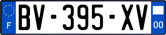 BV-395-XV