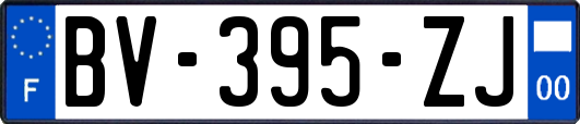 BV-395-ZJ