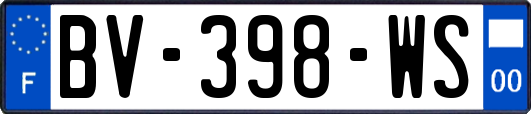 BV-398-WS