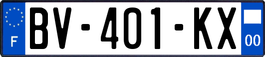 BV-401-KX