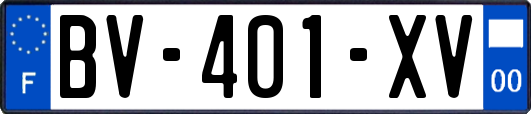 BV-401-XV