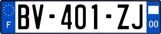 BV-401-ZJ