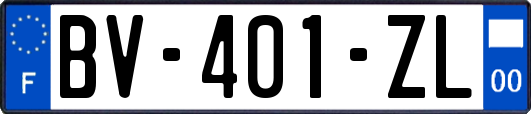 BV-401-ZL