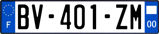 BV-401-ZM