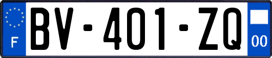 BV-401-ZQ