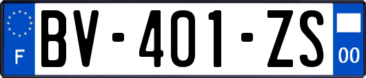 BV-401-ZS