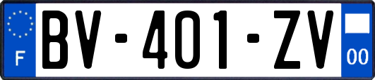 BV-401-ZV