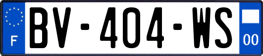 BV-404-WS