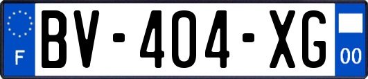 BV-404-XG