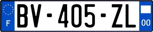 BV-405-ZL