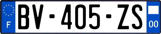 BV-405-ZS