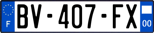BV-407-FX