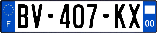 BV-407-KX